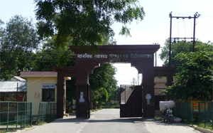 mental hospital agra